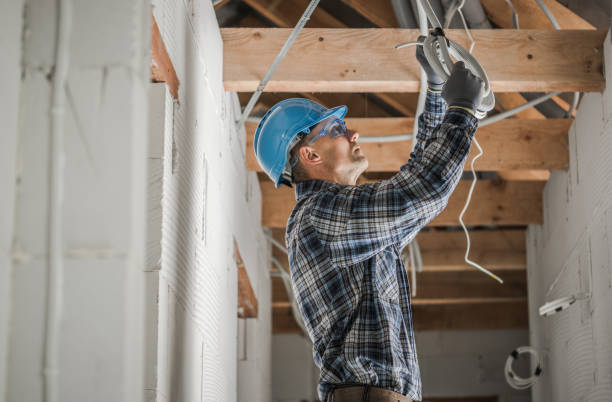 Best Home Electrical Repair  in Napervle, IL