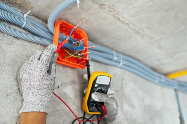 Best Electric Panel Repair  in Napervle, IL